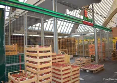Die Johann Lührs Obstversand GmbH kann auf ein über 100-jähriges Bestehen zurückblicken und ist seit Ende der 1940er auch am Großmarkt vertreten.